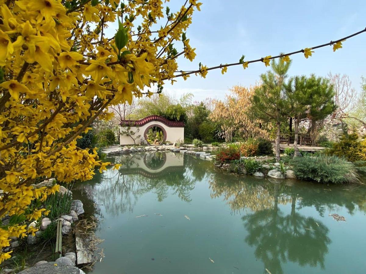 Uzumfermer Hotel & Winery Τασκένδη Εξωτερικό φωτογραφία